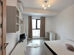 Grozavesti  Ranetti Residence   Studio